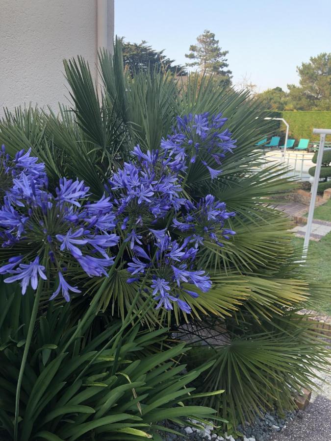 Villa Amare Granville Saint-Pair-sur-Mer Zewnętrze zdjęcie